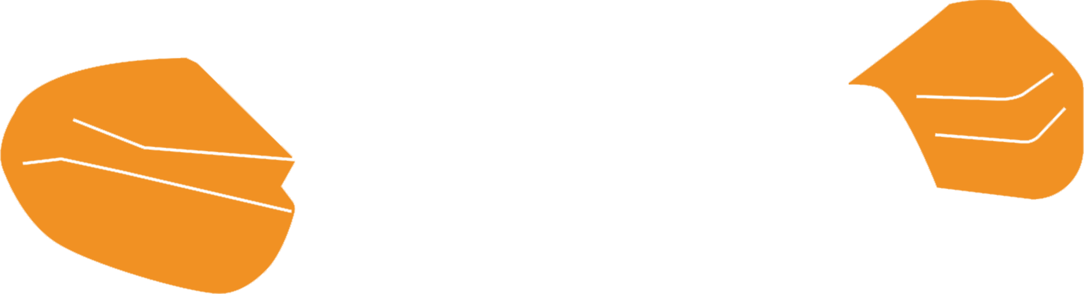 COVER HANDLE